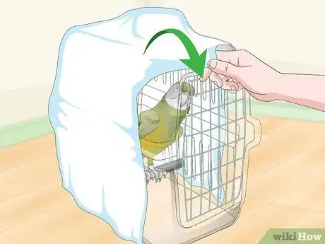 Image titled Deal with a Fearful or Stressed Senegal Parrot Step 20