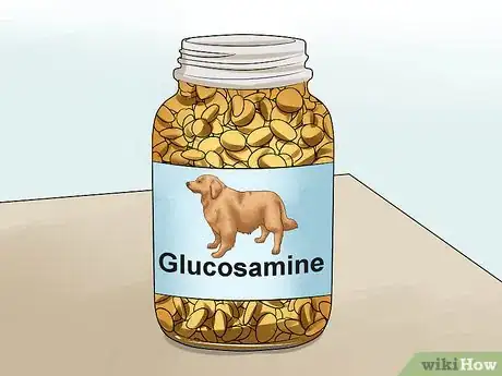 Image titled Prevent Arthritis in Dogs Step 3