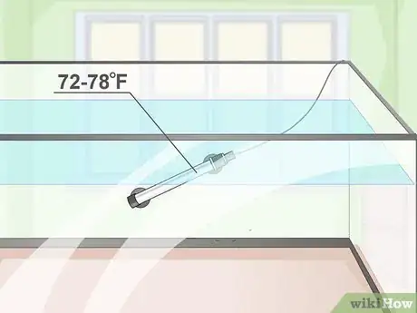 Image titled Start a Saltwater Reef Tank Step 9