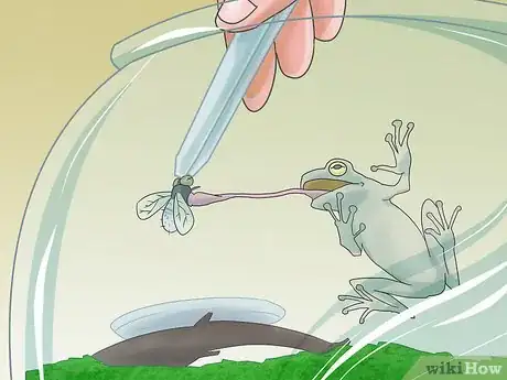 Image titled Make Moss Terrariums Step 18