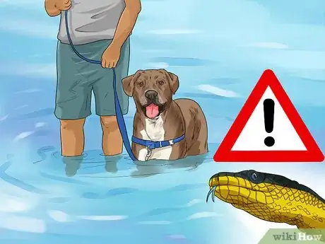 Image titled Protect Your Dog Around Natural Water Sources Step 12