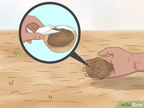 Image titled Plant Wildflowers Step 14