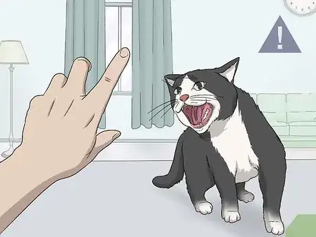 Image titled Soothe Your Cat With a Massage Step 6