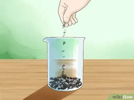 Image titled Grow Onions from Seed Step 3