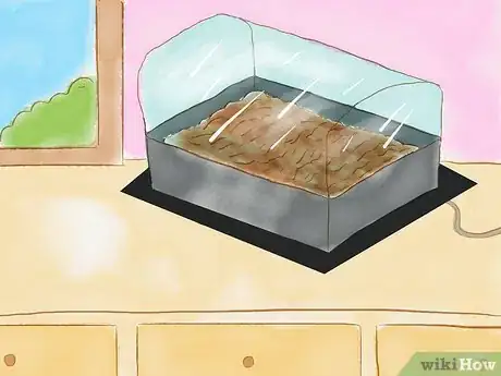 Image titled Grow Redwoods from Seed Step 12