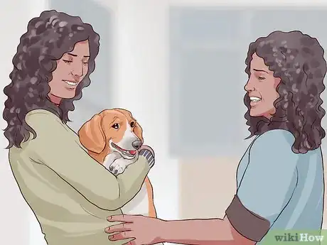 Image titled Choose a Hypoallergenic Dog Step 8