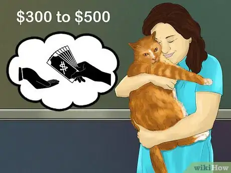 Image titled Budget for a New Cat Step 1