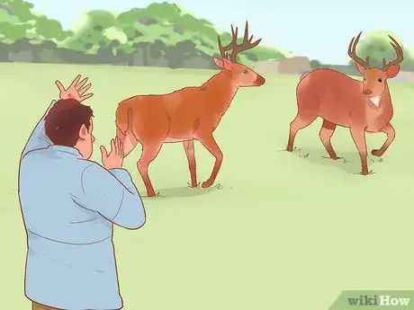 Image titled Break Up a Deer Fight Step 3