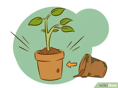 Image titled Kill Collembola Step 5