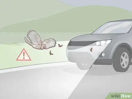 Image titled Attract Tawny Frogmouths Step 9