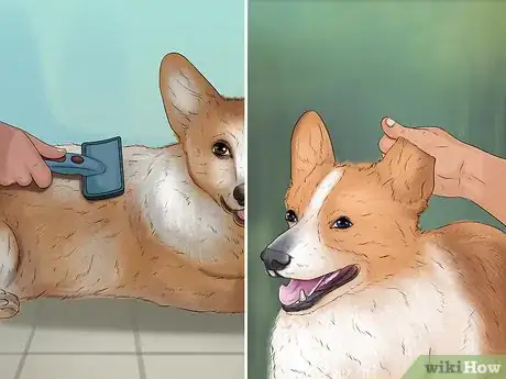 Image titled Rescue a Corgi Step 13