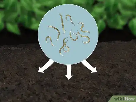 Image titled Does Salt Kill Slugs Step 9