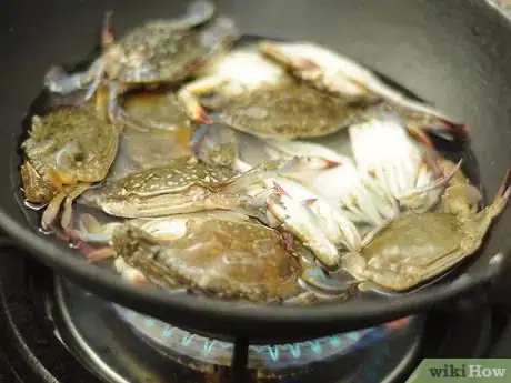 Image titled Make Crab Curry Step 2