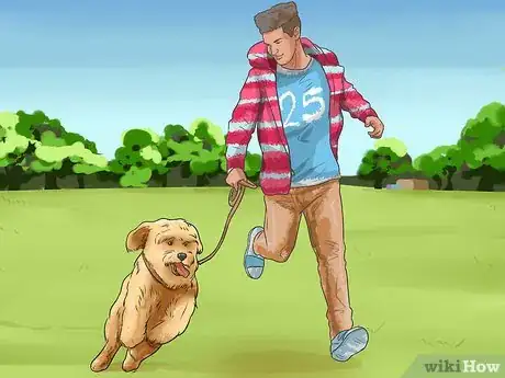 Image titled Care for Labradoodles Step 2