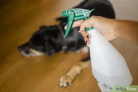 Image titled Help Teething Pups Step 10