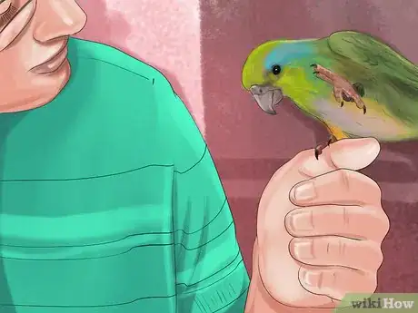 Image titled Care for a Pacific Parrotlet Step 18