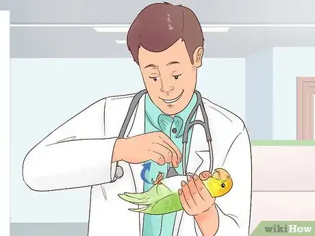 Image titled Treat Polyomavirus in Caique Parrots Step 5