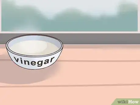 Image titled Eliminate Skunk Odor Step 20