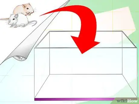 Image titled Set up a Gerbilarium Step 1
