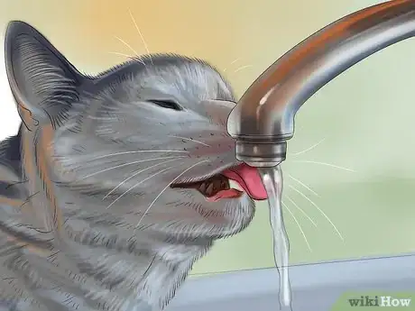 Image titled Know if Your Cat Is Sick Step 19