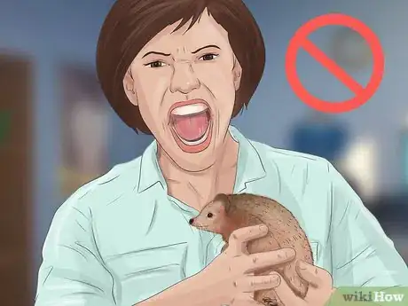 Image titled Tame a Hedgehog Step 9