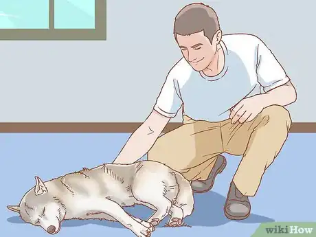 Image titled Get Free Dog Food Step 11