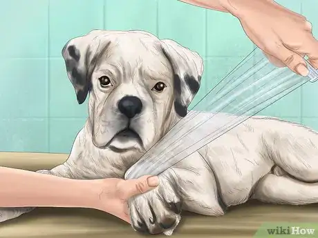 Image titled Choose a Vet Step 2