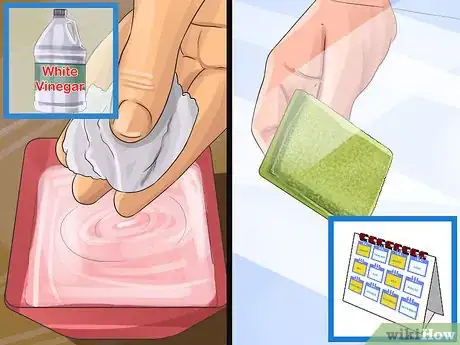 Image titled Start a Saltwater Aquarium Step 41