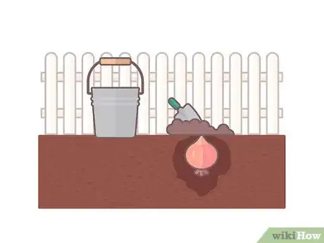 Image titled Store Bulbs Step 3