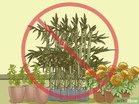 Image titled Choose Plants for Good Feng Shui Step 14
