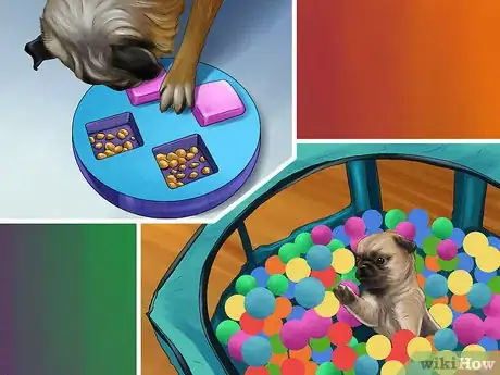 Image titled Give Your Small Dog Enough Exercise Step 7