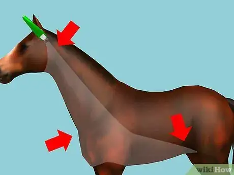 Image titled Clip Your Horse Step 3