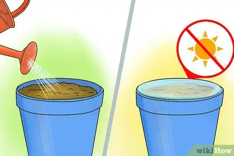 Image titled Care for Cyclamen Plants Step 19