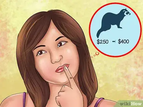 Image titled Buy a Ferret Step 4