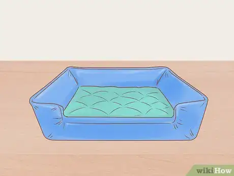 Image titled Make Daily Life Easier for a Mobility‐Impaired Cat Step 9