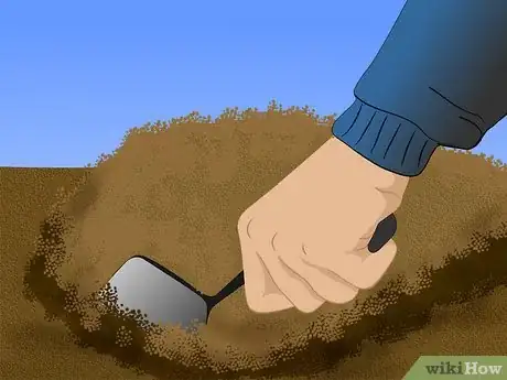 Image titled Grow Ornamental Flowering Kale Plants Step 3