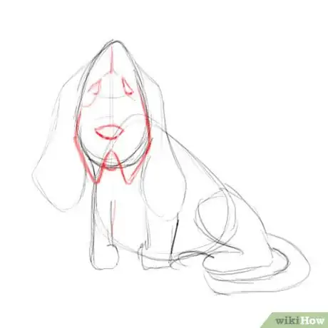Image titled Basset hound face detail Step 5