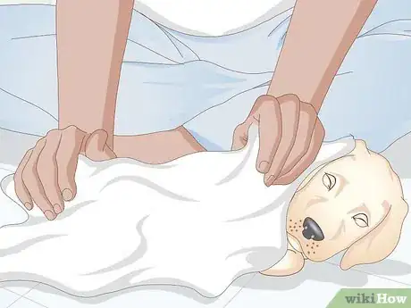 Image titled Shower a Puppy Step 13