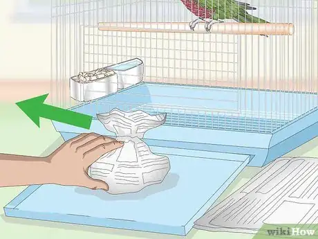 Image titled House a Hawk‐Headed Parrot Step 8