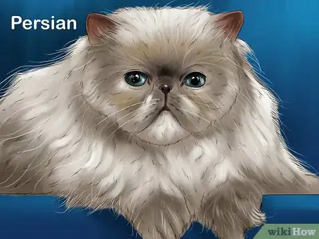 Image titled Choose a Kid Friendly Cat Step 11