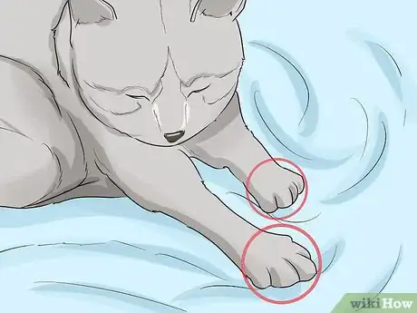 Image titled Figure Out Your Cat's Mood Step 4