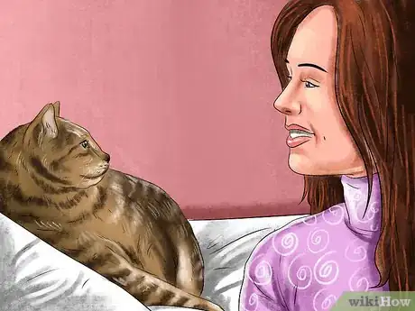 Image titled Find Your Cat's Preferred Play Style Step 7