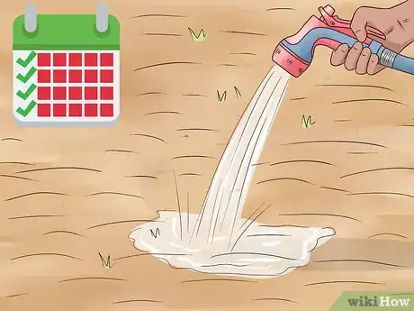 Image titled Plant Wildflowers Step 15