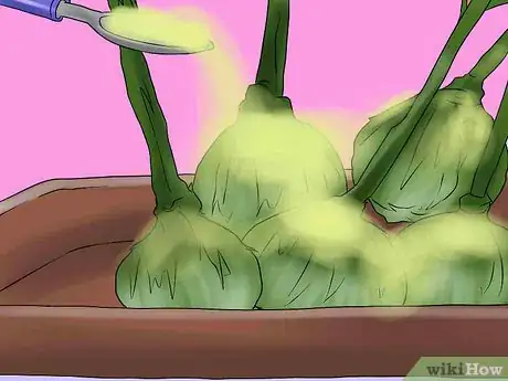 Image titled Overwinter Lily Bulbs Step 5