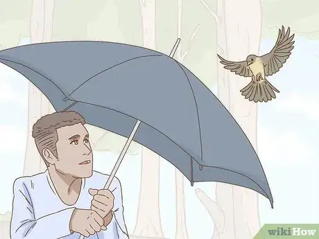 Image titled Help a Fallen Fledgling Step 6