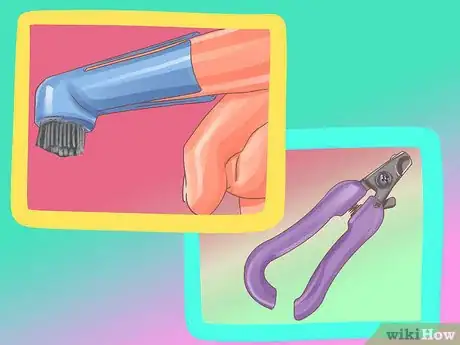 Image titled Groom a Thick Furred Dog Step 17