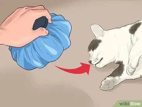 Image titled Give First Aid to an Electrocuted Animal Step 6