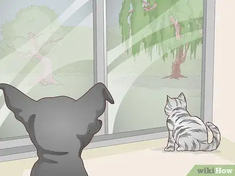 Image titled Attract Tawny Frogmouths Step 8