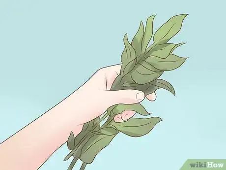 Image titled Treat a Cold with Traditional Chinese Medicine Step 4