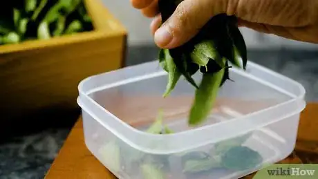 Image titled Preserve Curry Leaves Step 9